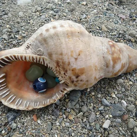 Bells * セェフェリヒサール