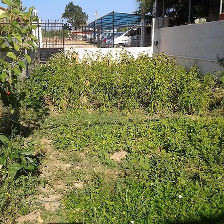 Bells セェフェリヒサール