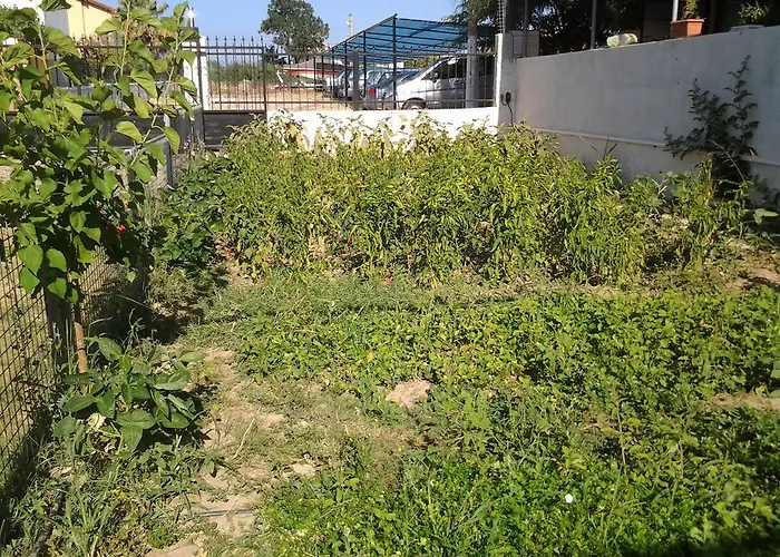 Bells Сеферихисар