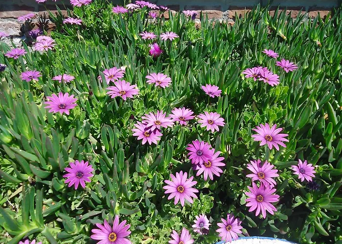 Bells Мотель *