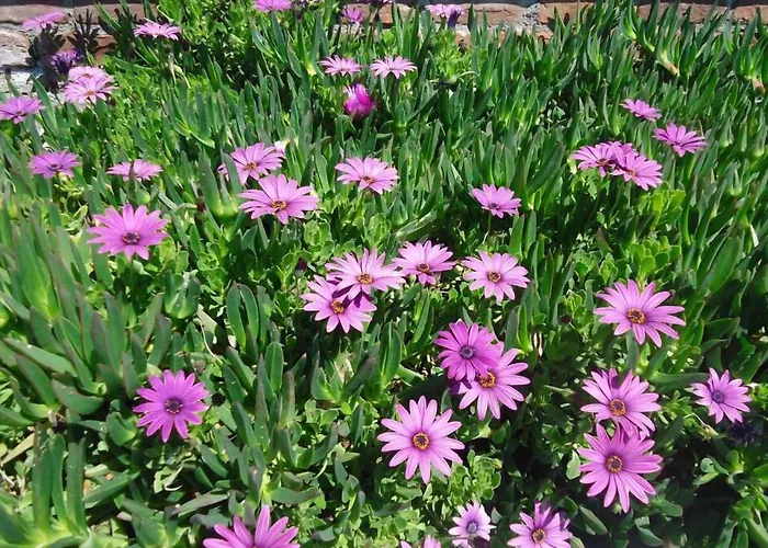 Bells * Сеферихисар